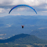 Previous standard colour: LTM/L