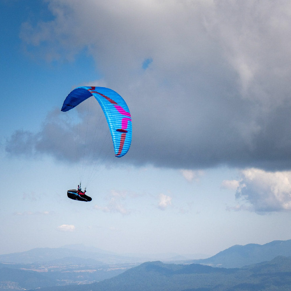 Previous standard colour: LTM/L