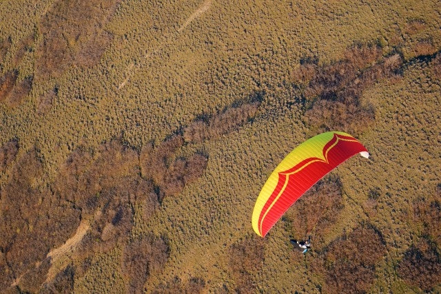 Yellow-Red-Yellow-Red (YRYR) | Ozone Delta 3