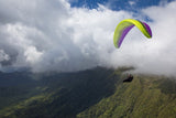 Light Green-Black-Light Green-Purple (HKHP) | Ozone Delta 3