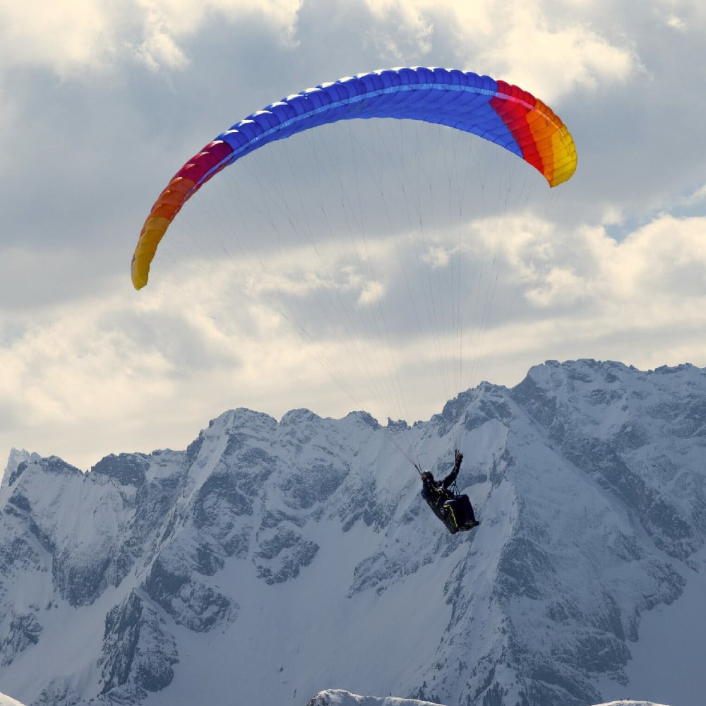 PHI VIOLA 2:Colour CC1