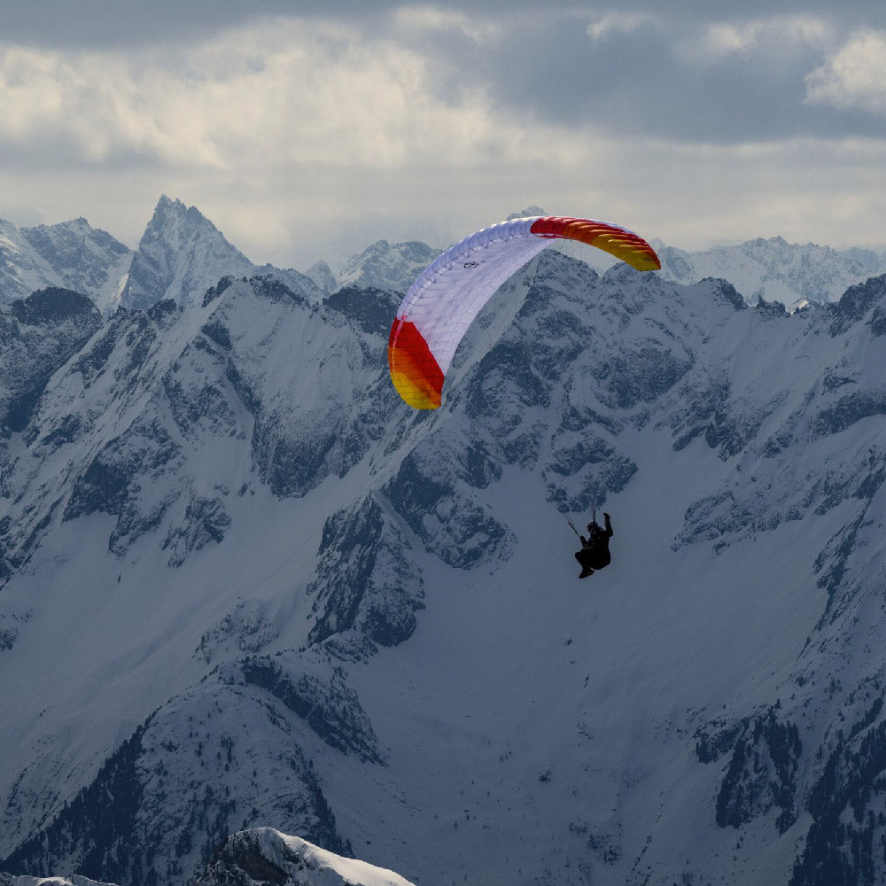 PHI VIOLA 2:Colour CC3