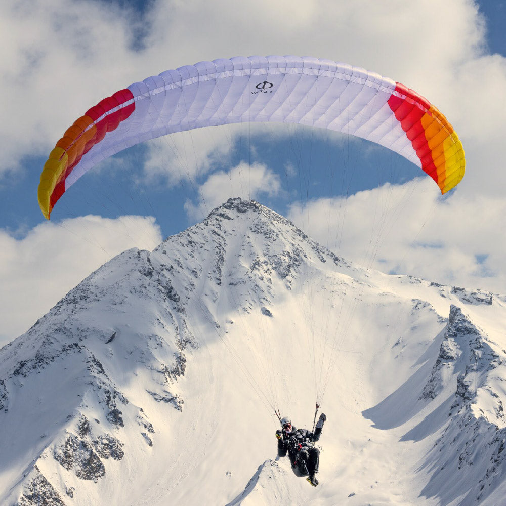 PHI VIOLA 2:Colour CC3