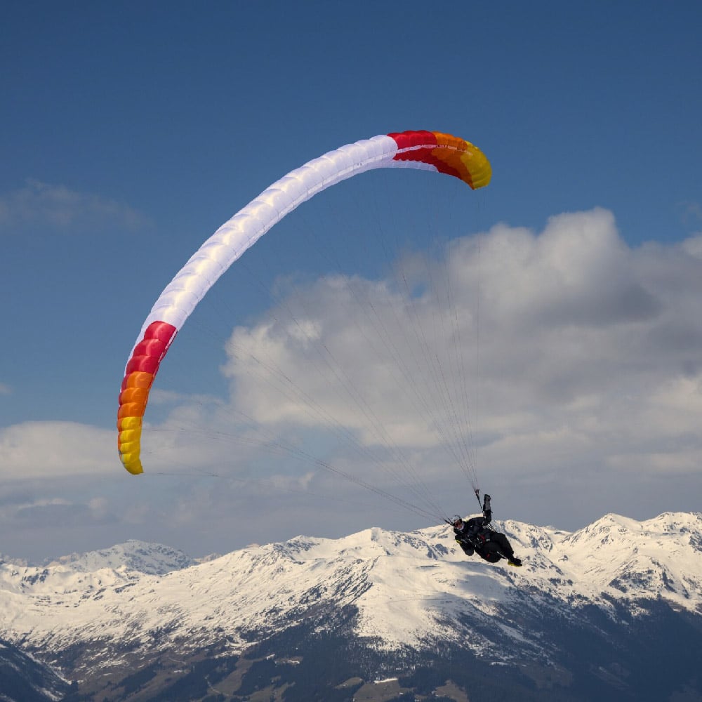 PHI VIOLA 2:Colour CC3