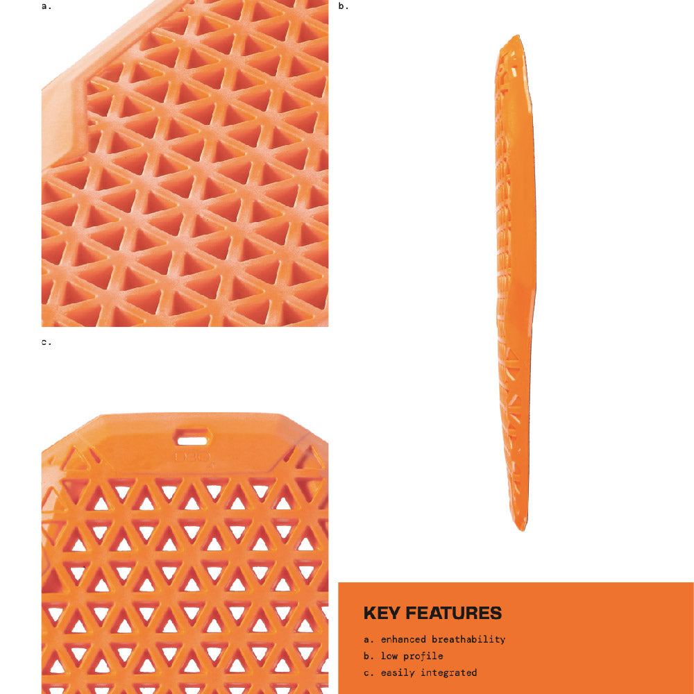 PHI CABRIO Back Protector D30 Level 2