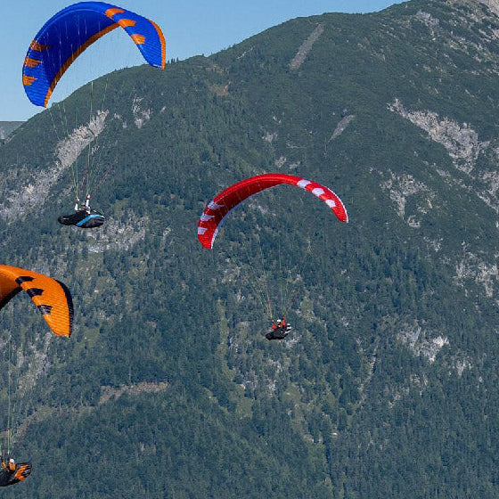 PHI MAESTRO 3 22 (83-108kg) CC03 0020782J