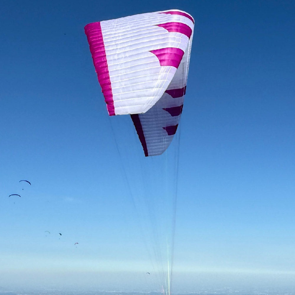 PHI MAESTRO 3 light: standard colour CC04 (White-Lilac)