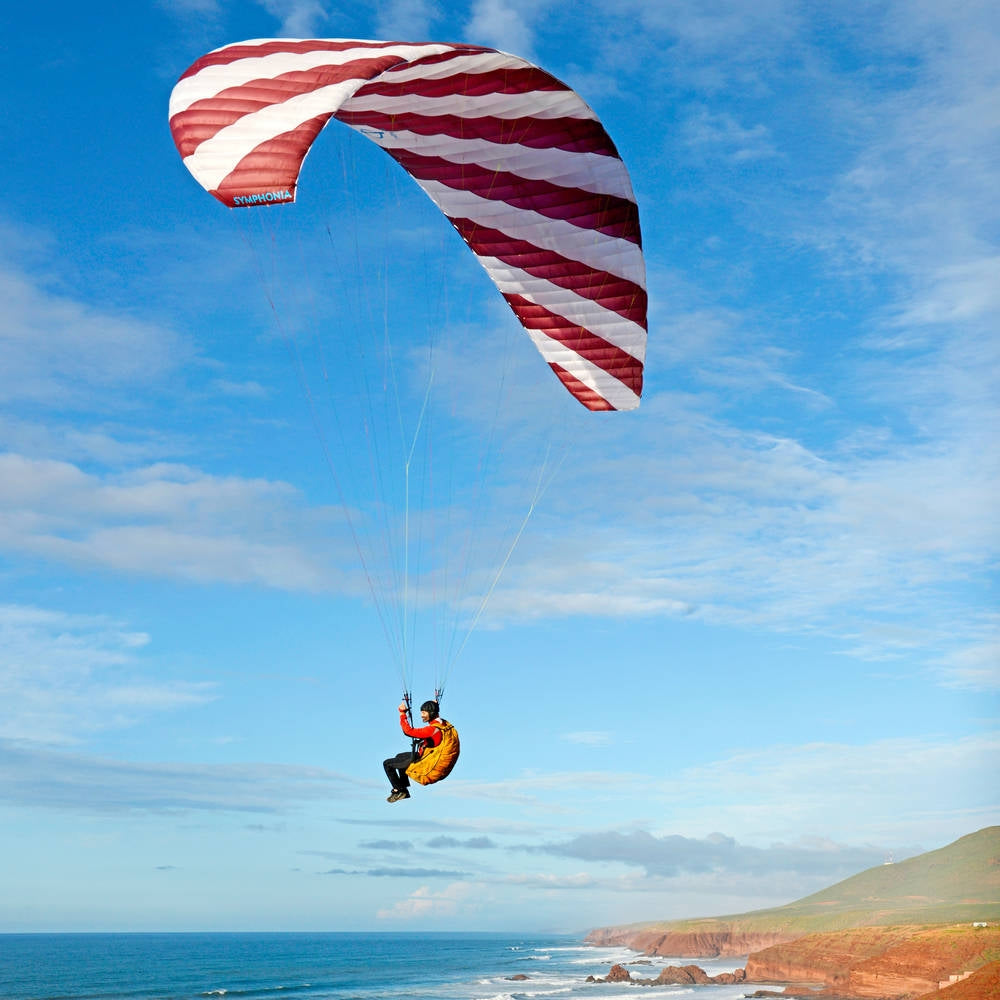 Phi SYMPHONIA | serial colour 04 Bordeaux-White