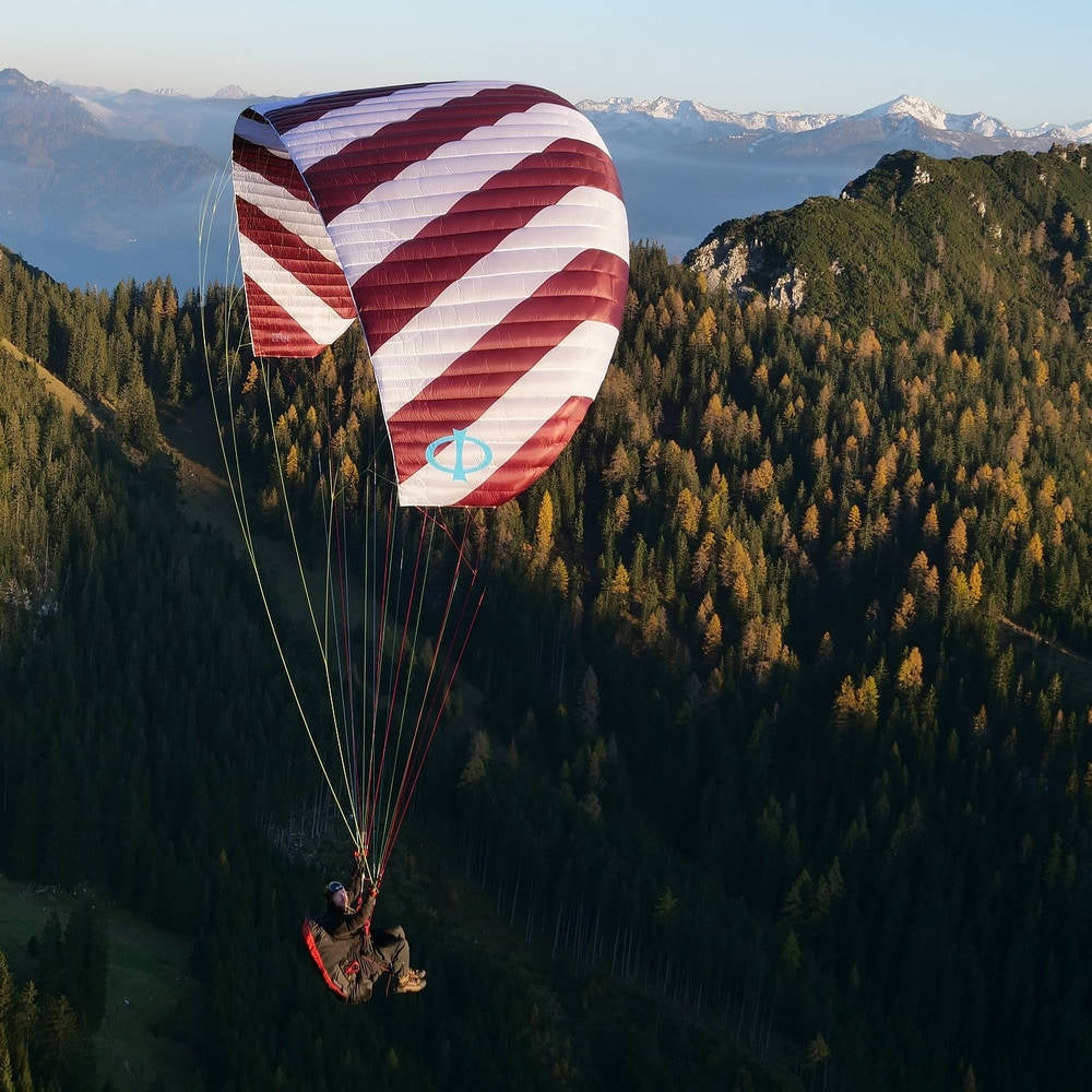 Phi SYMPHONIA | serial colour 04 Bordeaux-White