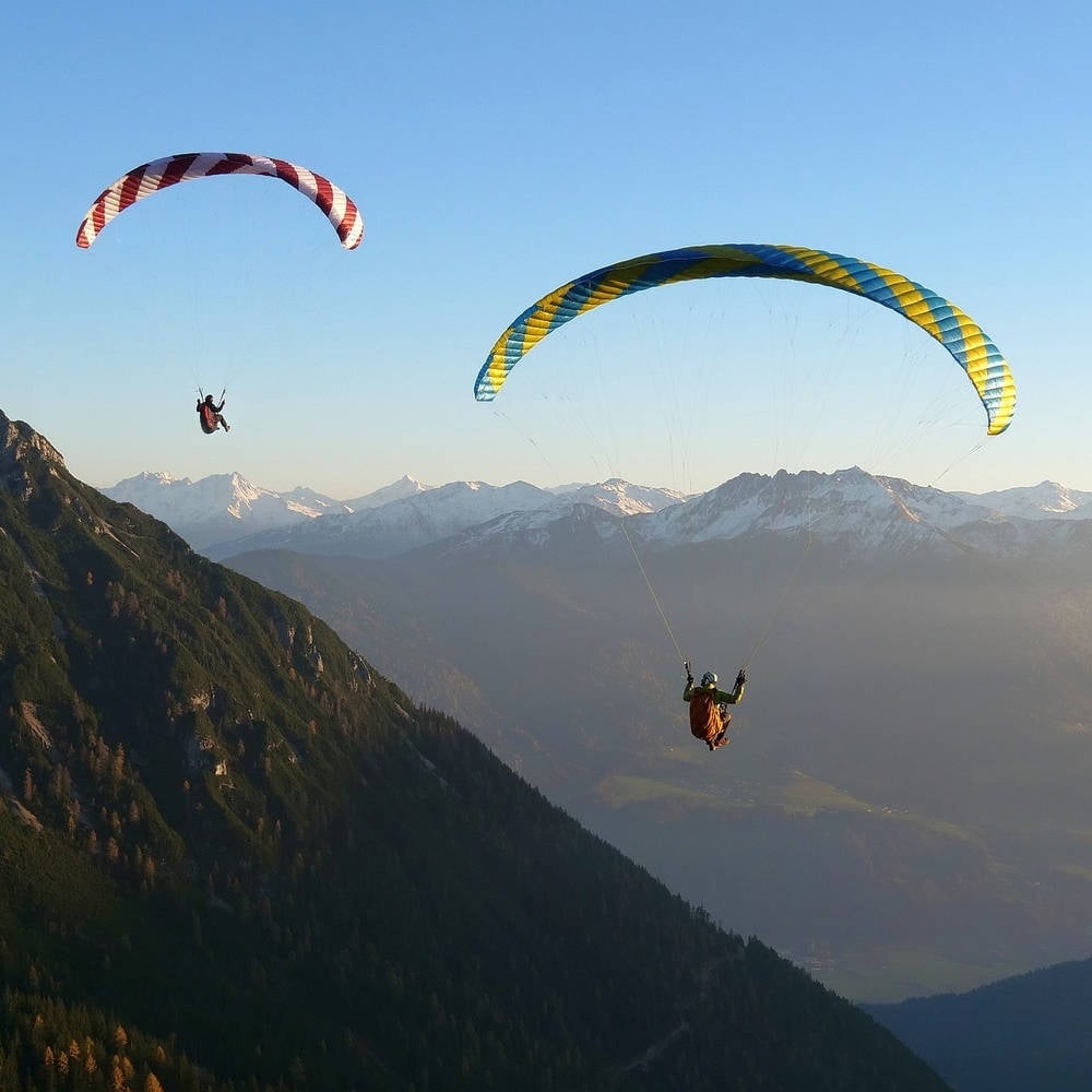 Phi SYMPHONIA | serial colour 04 Bordeaux-White