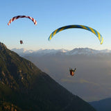 Phi SYMPHONIA | serial colour 04 Bordeaux-White