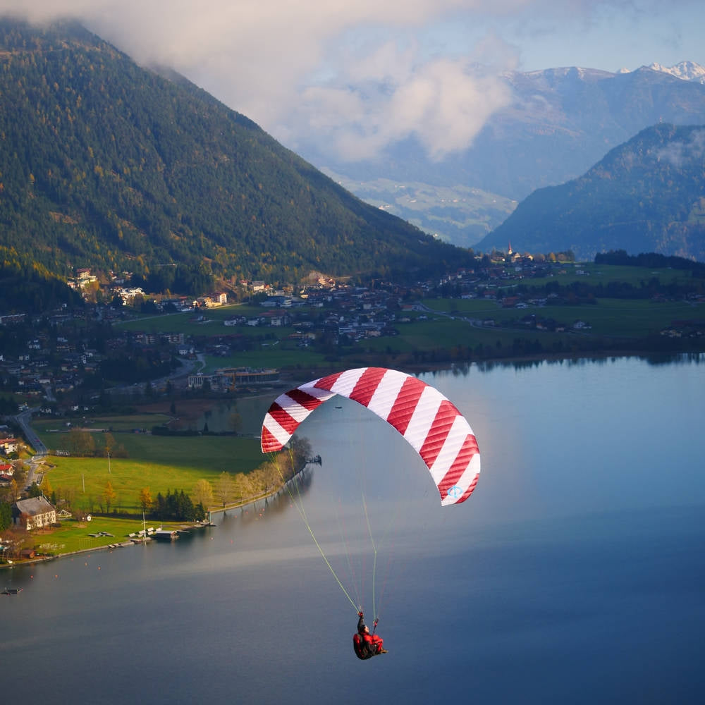 Phi SYMPHONIA | serial colour 04 Bordeaux-White