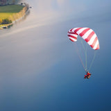 Phi SYMPHONIA | serial colour 04 Bordeaux-White