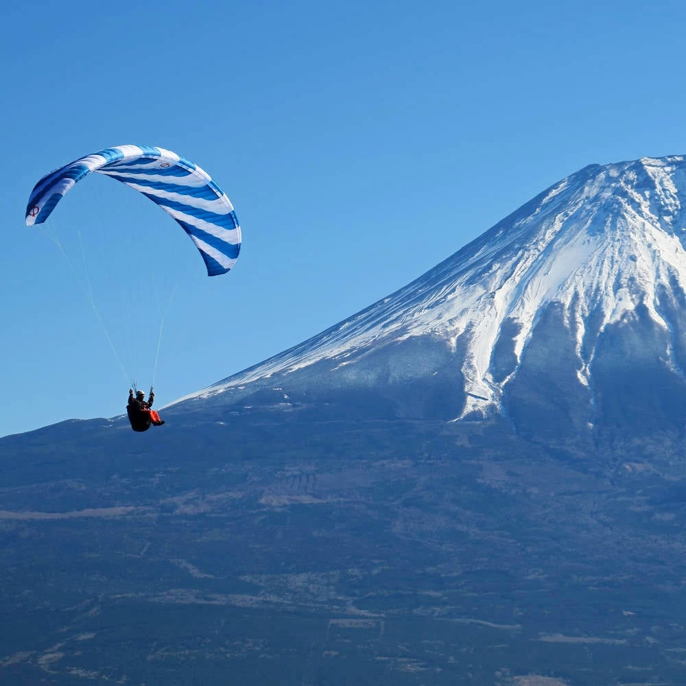 Phi SYMPHONIA | special colour 10 petrol-white