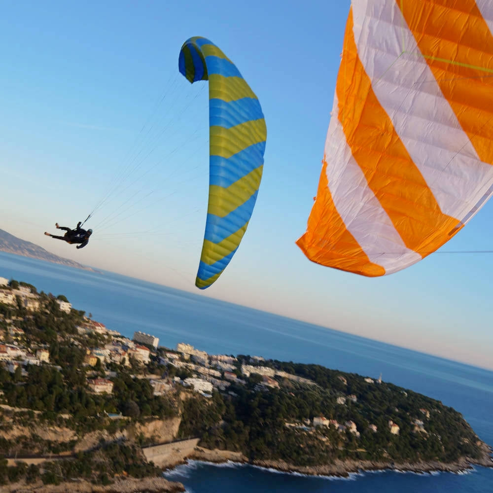 Phi SYMPHONIA | special colour 05 Royal-Lime | special colour 07 Orange-White