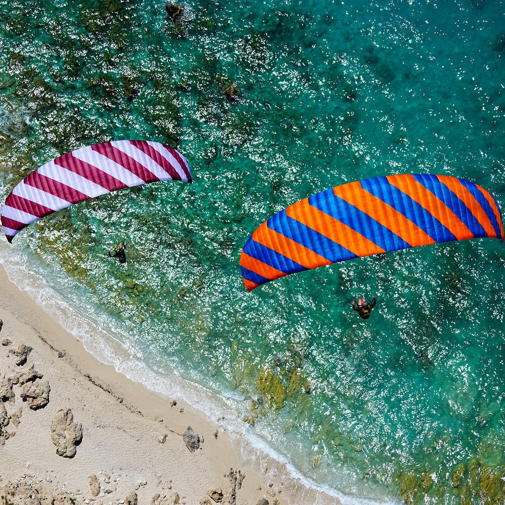 Phi SYMPHONIA duo | serial colour 04 Bordeaux-White | special colour Orange-Blue