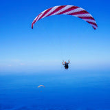 Phi SYMPHONIA | serial colour 04 Bordeaux-White