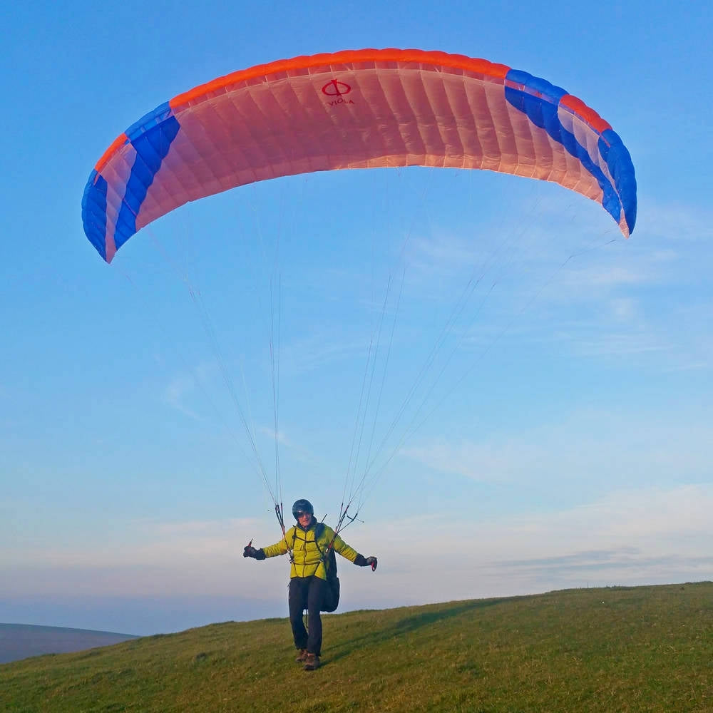 Phi VIOLA in standard colour CC3 (Orange Blue)