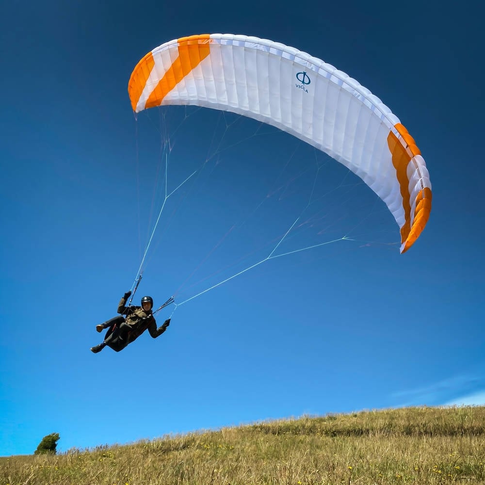 Phi VIOLA in standard colour CC1 (White-Orange)