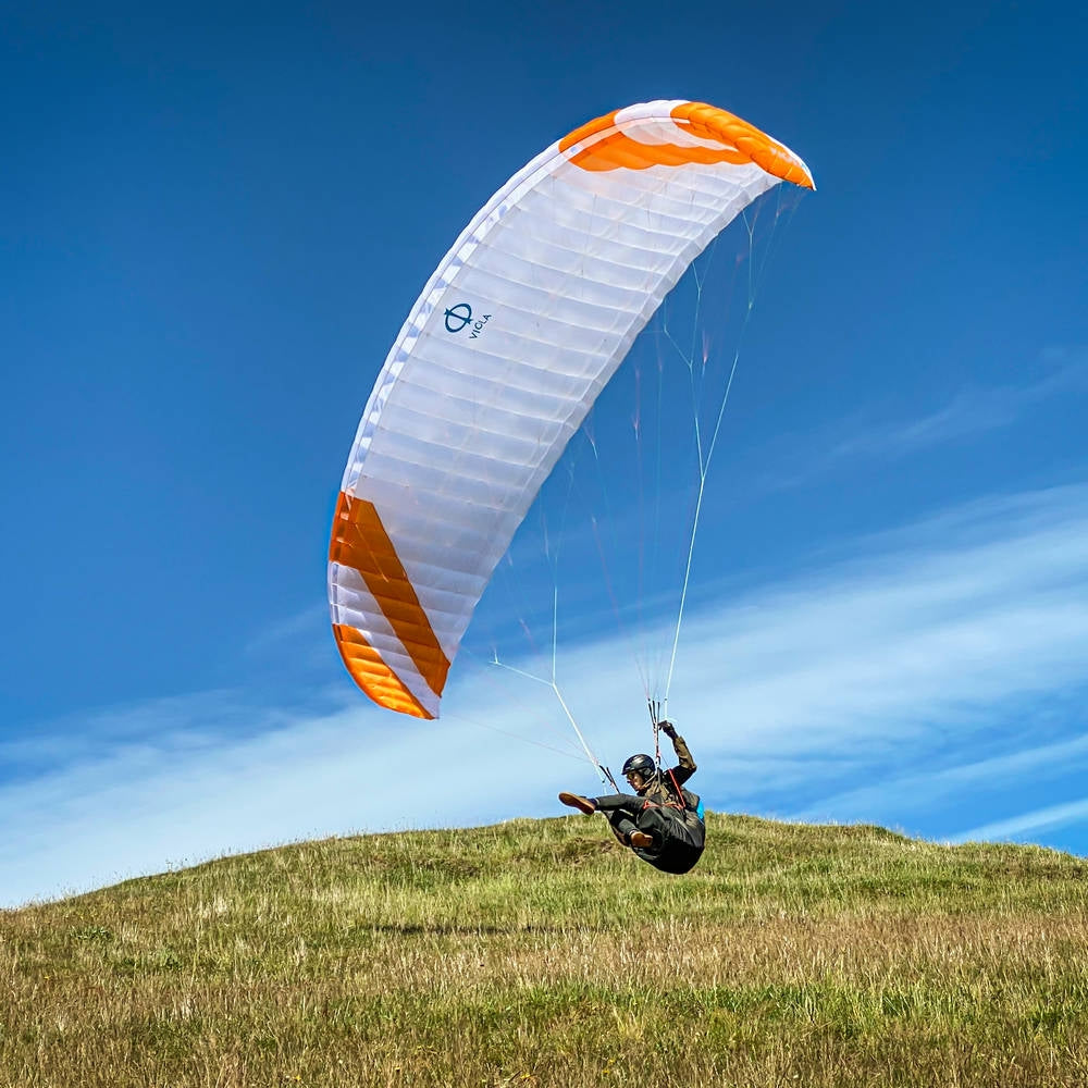 Phi VIOLA in standard colour CC1 (White-Orange)