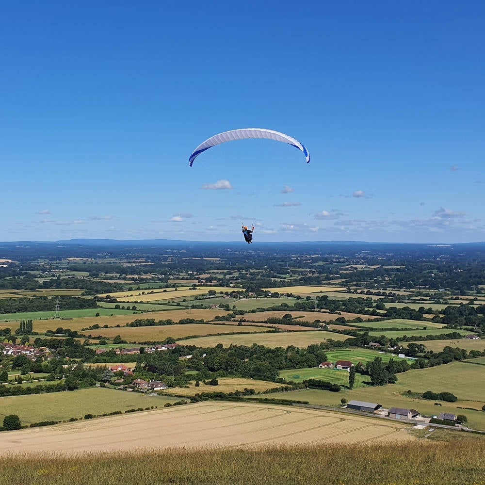 Phi VIOLA in standard colour CC2 (White-Blue)