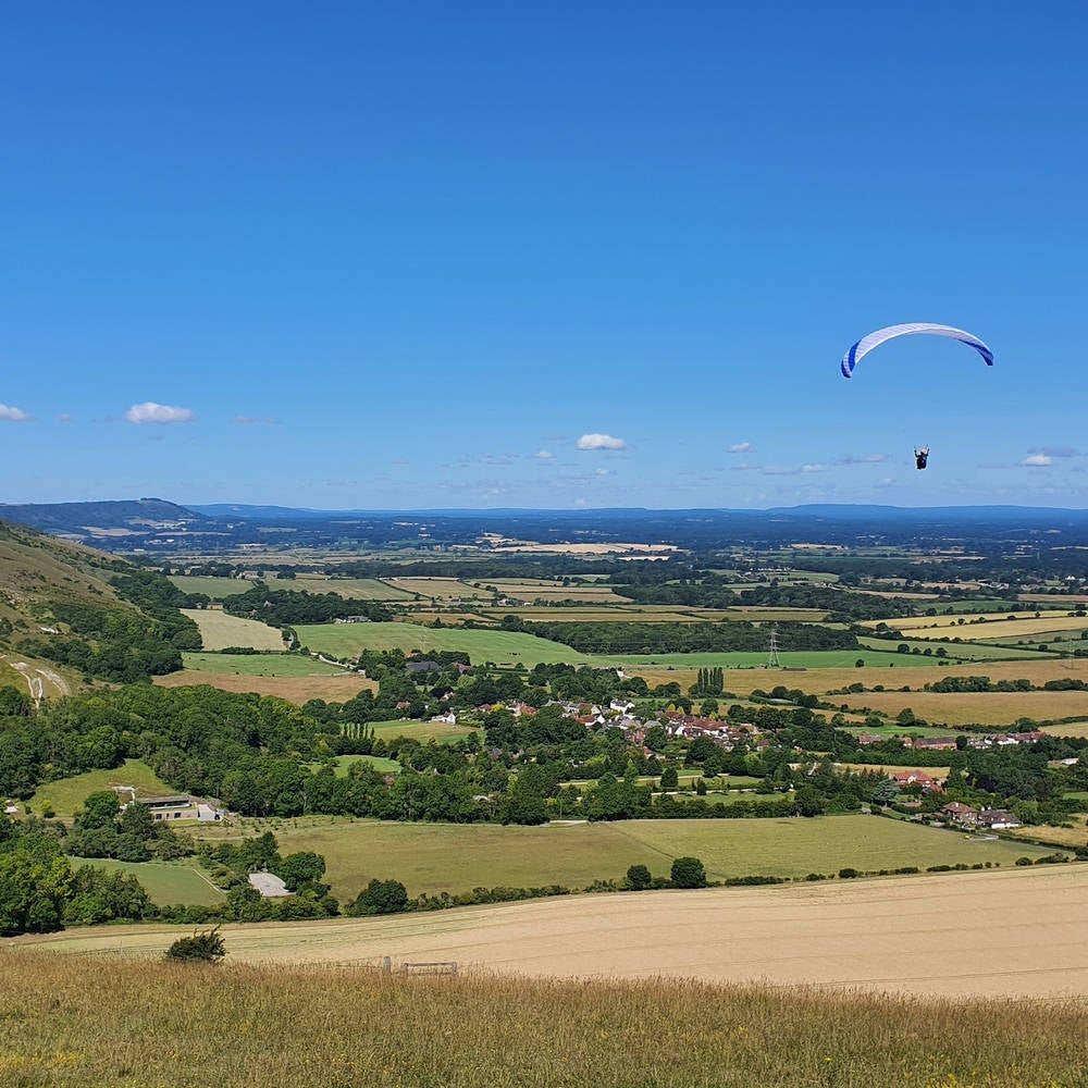 Phi VIOLA in standard colour CC2 (White-Blue)