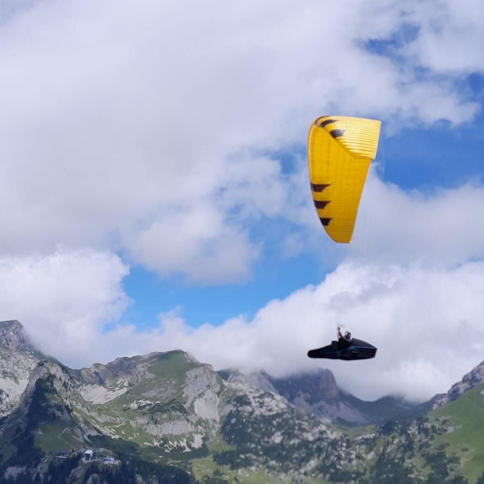 PHI MAESTRO 2 light (PAST MODEL)