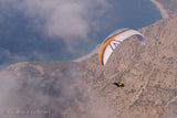 Skywalk Poison 2 (PAST MODEL)