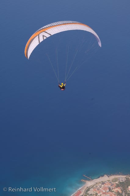 Skywalk Poison 2 (PAST MODEL)