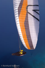 Skywalk Poison 2 (PAST MODEL)