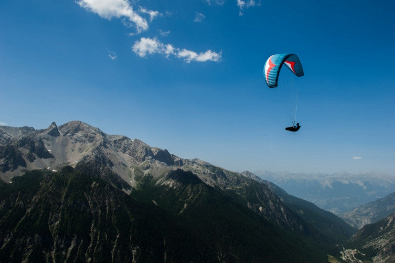 Gin Carrera (PAST MODEL)