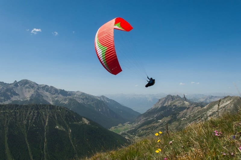 Gin Carrera (PAST MODEL)