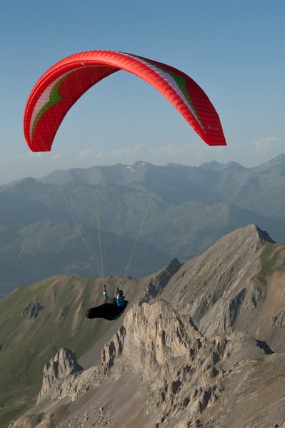 Gin Carrera (PAST MODEL)