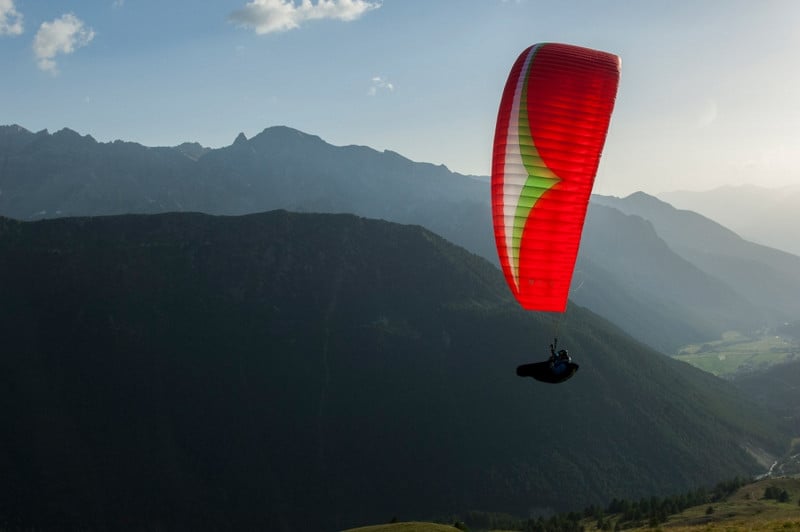 Gin Carrera (PAST MODEL)