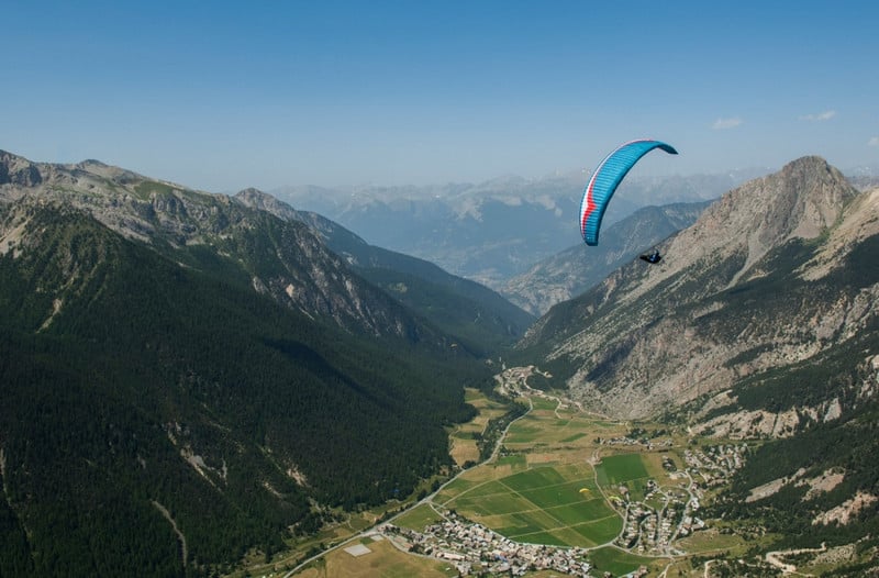 Gin Carrera (PAST MODEL)