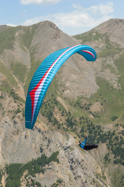 Gin Carrera (PAST MODEL)