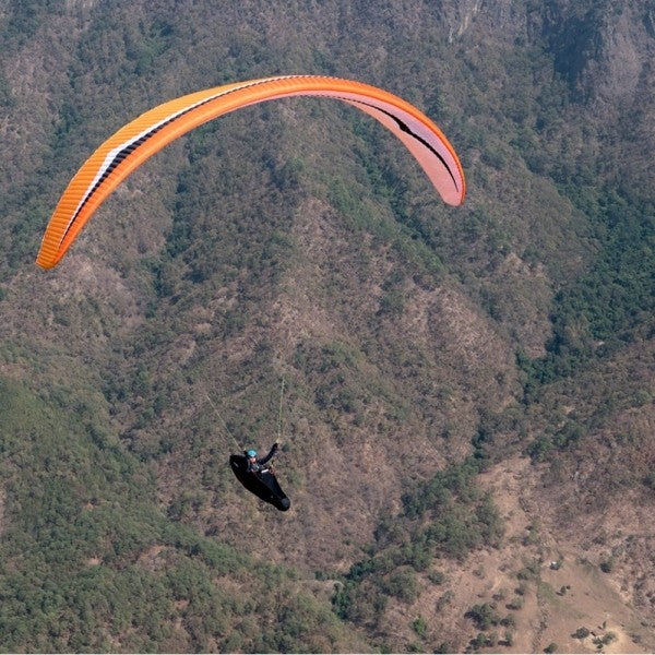 Gin Boomerang 11 (PAST MODEL)