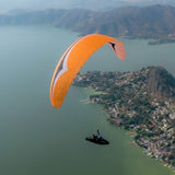 Gin Boomerang 11 (PAST MODEL)