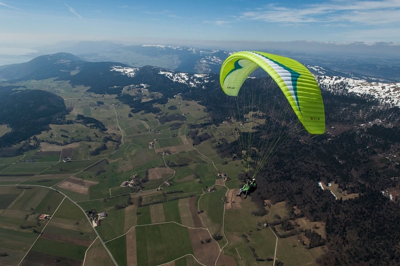 Gin Fuse (PAST MODEL)