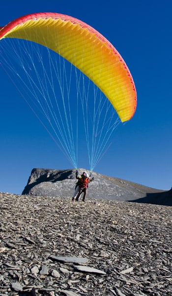 Advance BiBeta 4 (PAST MODEL)