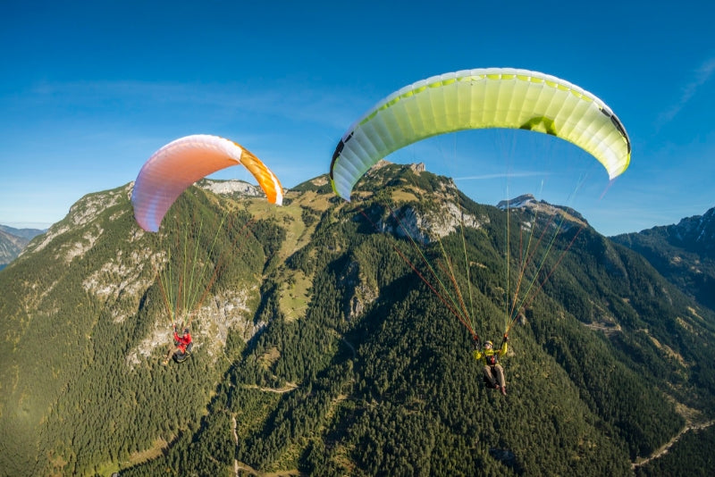 Skywalk MASALA2 (PAST MODEL)