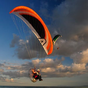 Skywalk Venom (PAST MODEL)