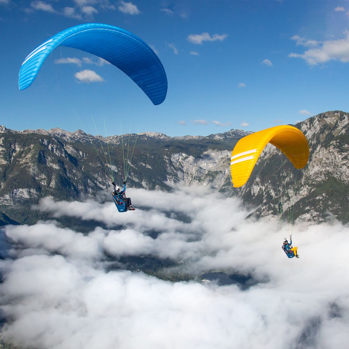 Triple Seven Knight 2