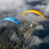 Triple Seven Knight 2 Blue Gold