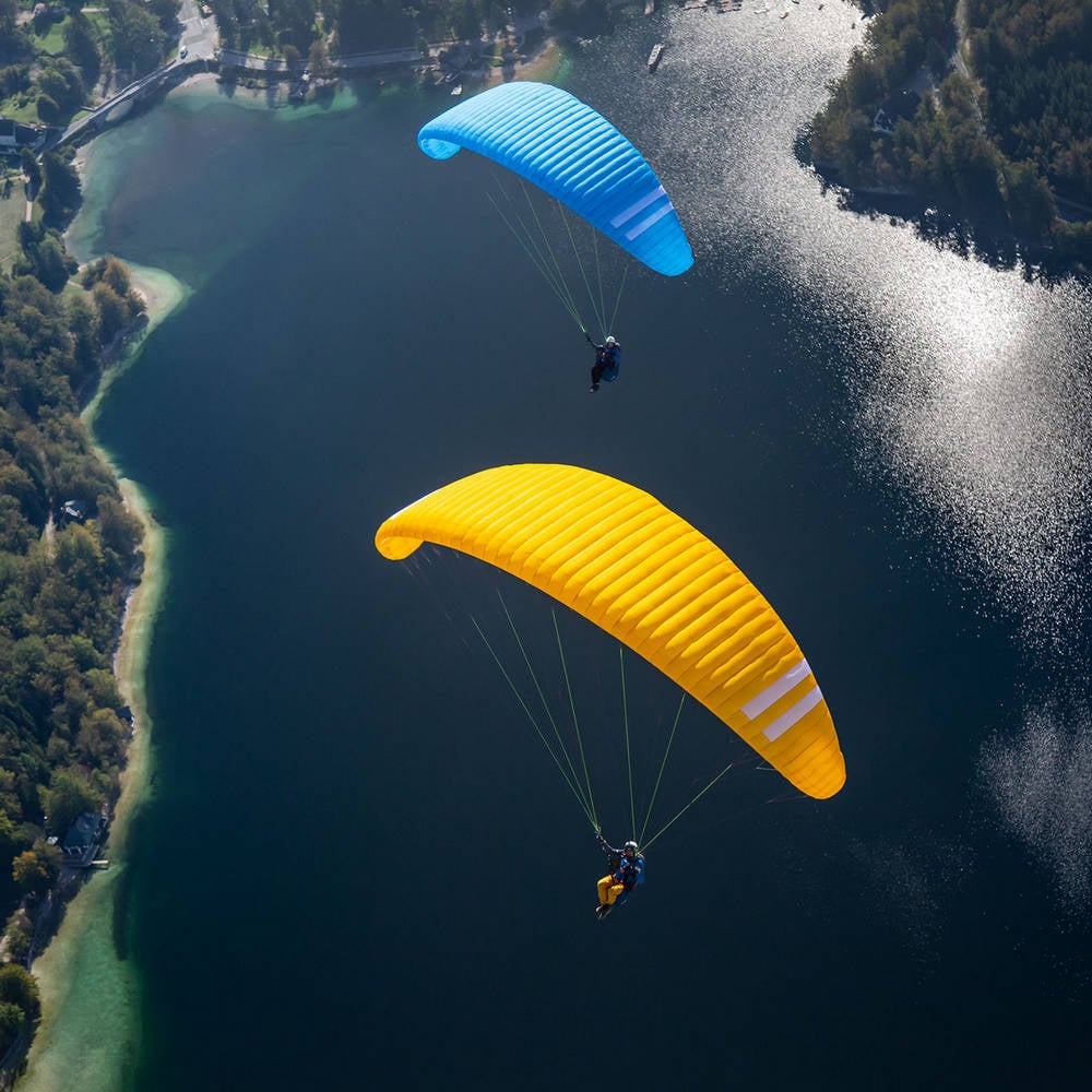 Triple Seven Knight 2 Blue Gold