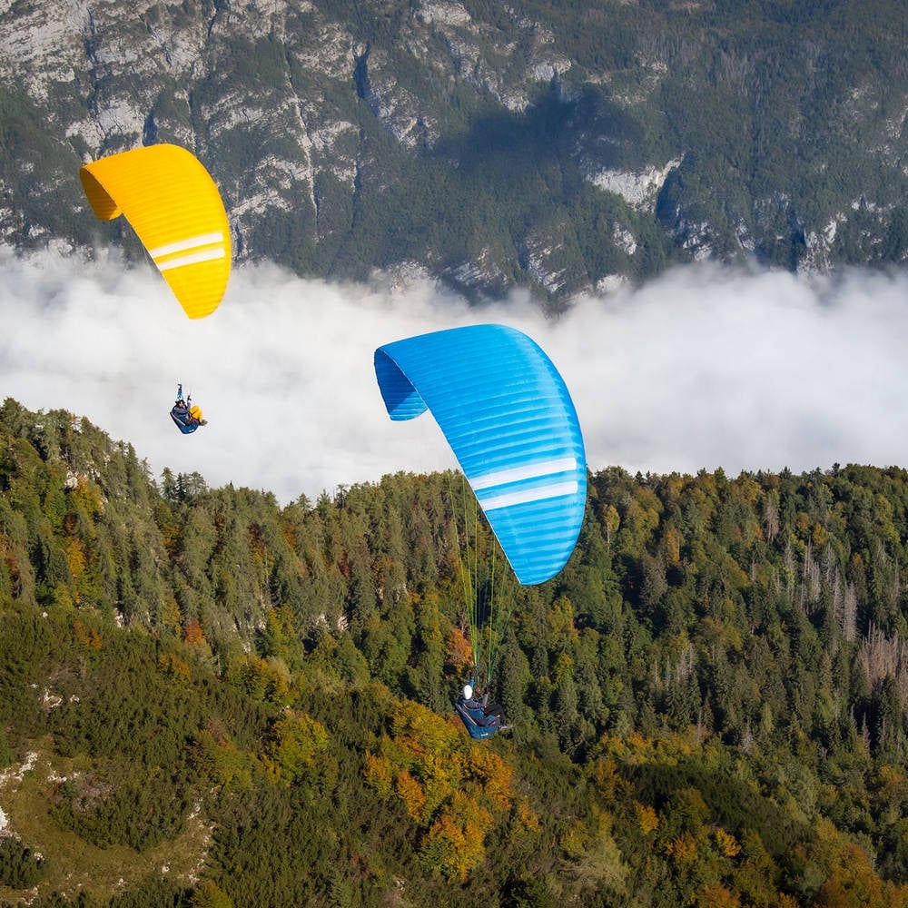 Triple Seven Knight 2 Gold Blue