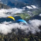 Triple Seven Knight 2 Gold Blue