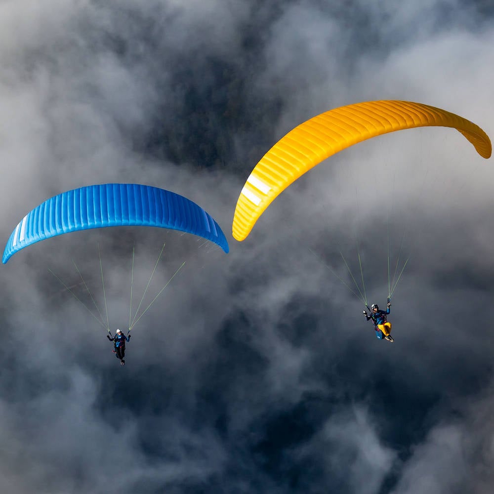 Triple Seven Knight 2 Blue Gold