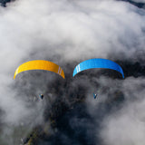 Triple Seven Knight 2 Gold Blue