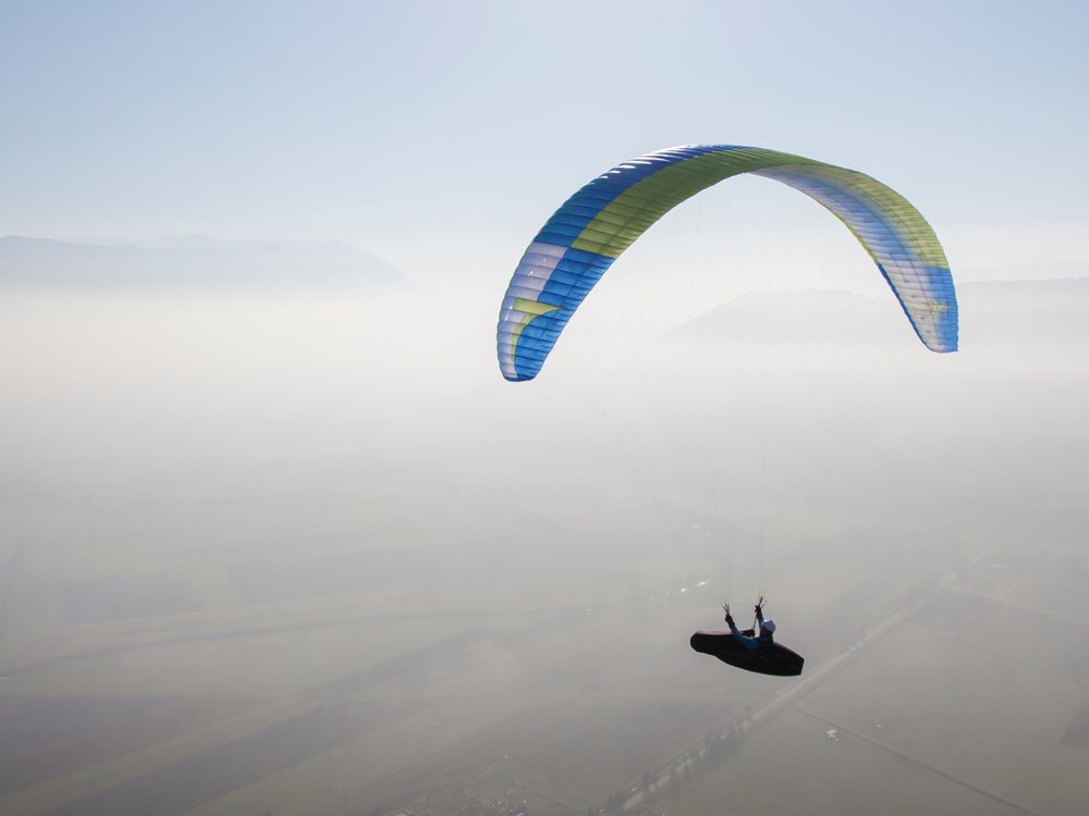 Triple Seven King (PAST MODEL)